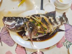 清蒸东星斑-花乐餐厅(涠洲岛店)