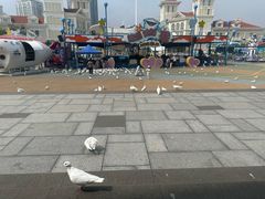 -烟台海昌鲸鲨海洋公园