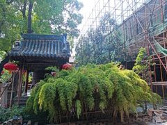-崇善寺