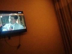 -上海大自然野生昆虫馆(东方明珠·爬宠昆虫探索中心)