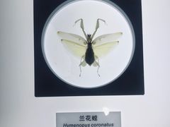 -上海昆虫博物馆