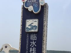 -丁香湖公园