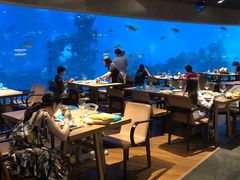 大堂-海棠湾洲际-涛·海底餐厅·美人鱼·自助餐·海底隧道