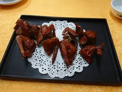 -鸽王世家(东华东路店)