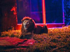 -杭州野生动物世界