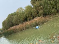 -泰安地下龙宫景区