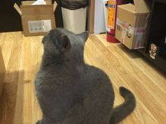 -壹人壹像工作室(购物公园店)