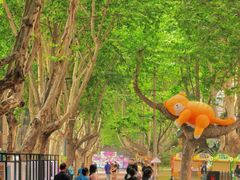 -西安电影制片厂