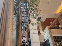 -成都保利公园皇冠假日酒店(熊猫基地店)