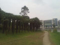 -美兰湖景区