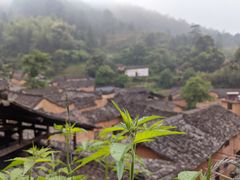 -杨家堂村