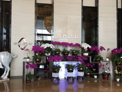 门面-富力希尔顿酒店·地阔自助餐厅