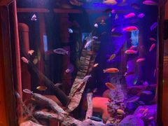 -沈阳海洋探索中心