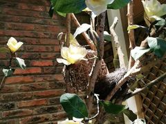 -湘邻呷铺·田园家宴(汉基广场店)