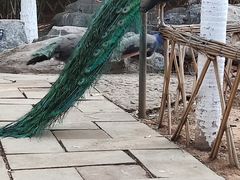 -昆明动物园
