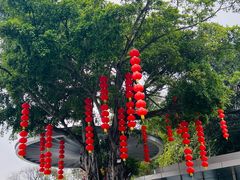 -广州市白云山风景名胜区