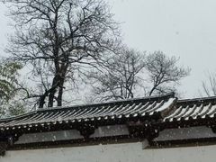 -西安青龙寺遗址景区
