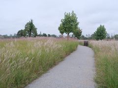 -汉长安城未央宫国家考古遗址公园