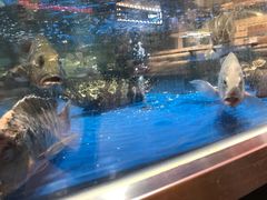 -盒马鲜生(莱蒙都会店)