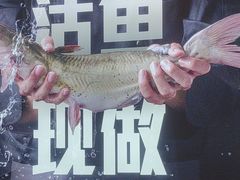 -老板恋上鱼(恒隆广场店)