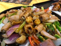 -鸽王世家(东华东路店)