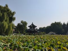 -莲池书院博物馆
