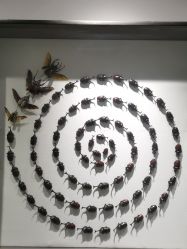 -酷嗒动物文化乐园(cutezoo西溪乐天城店)