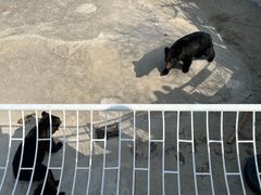 -天津市动物园