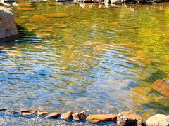 -北仑森林植物园