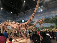 -自贡恐龙博物馆