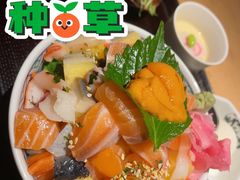 -原志优秀食材·匠心料理·海胆主题(金亿广场店)