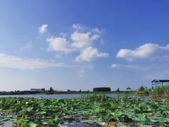 -白洋淀风景区