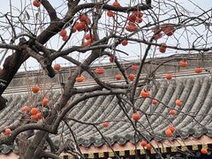 -北京石刻艺术博物馆(五塔寺)