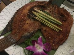 -紫滇源云南生态菜(丹凤街店)
