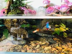 -Lumi露米·美甲美睫品质店