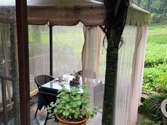 -野蔓果·山野菜(西湖景区·龙井茶田店)