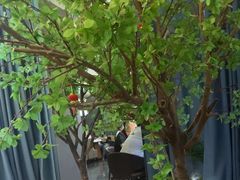 -映像威海·威海宴(威高广场店)