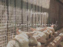 -昆明动物园