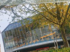 -上海大学生体育中心游泳馆(松江店)