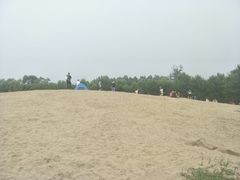 -东郊湿地公园