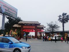 -北海金海湾红树林生态旅游区