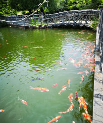 -长沙小顽国景区