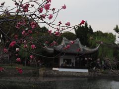 -无锡蠡湖国家湿地公园-蠡园