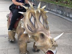 -陕西自然博物馆