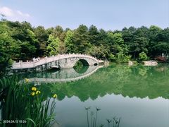 -铁山坪森林公园