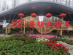 -东平国家森林公园