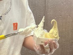 -野人先生现做冰淇淋(西安赛格店)