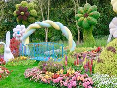 -上海共青森林公园