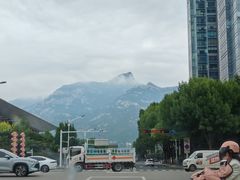 -万达广场(泰安泰山店)