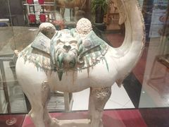 -老雒阳面馆·水席·洛阳菜(偃师店)